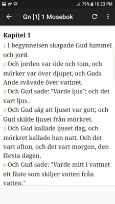 Swedish Holy Bible android App screenshot 2