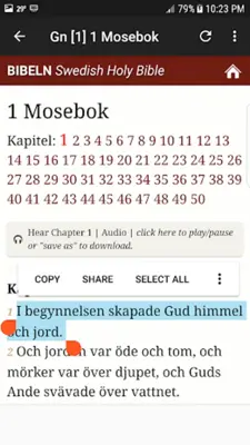 Swedish Holy Bible android App screenshot 3