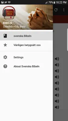 Swedish Holy Bible android App screenshot 5